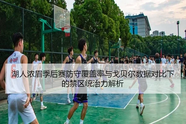 湖人浓眉季后赛防守覆盖率与戈贝尔数据对比下的禁区统治力解析